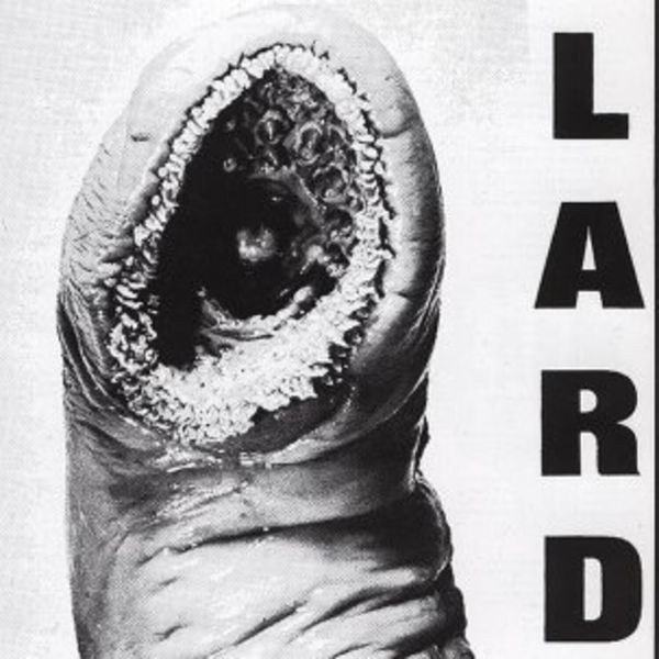 Lard - Power Of Lard in the group VINYL / Rock at Bengans Skivbutik AB (4007993)