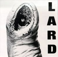 Lard - Power Of Lard in the group CD / Pop-Rock at Bengans Skivbutik AB (4008085)