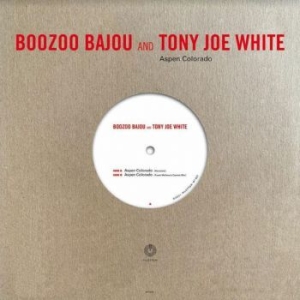 Boozoo Bajou & Tony Joe White - Aspen Colorado (10