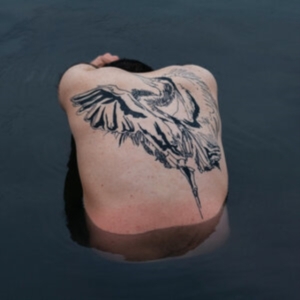 Jodi - Blue Heron (Metallic Silver Vinyl) in the group VINYL / Pop-Rock at Bengans Skivbutik AB (4009031)