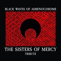 Various Artists - Sisters Of Mercy Tribute in the group CD / Hårdrock,Svensk Musik at Bengans Skivbutik AB (4010941)