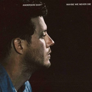 Anderson East - Maybe We Never Die (Vinyl) in the group VINYL / Country,Pop-Rock at Bengans Skivbutik AB (4011056)
