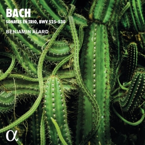 Bach Johann Sebastian - Trio Sonatas For Organ, Bwv 525-530 in the group Externt_Lager /  at Bengans Skivbutik AB (4011325)