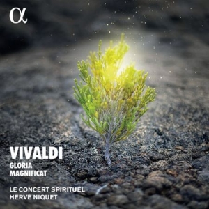 Vivaldi Antonio - Gloria & Magnificat in the group Externt_Lager /  at Bengans Skivbutik AB (4011336)