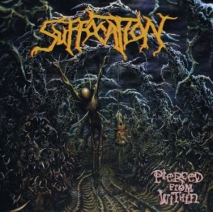 Suffocation - Pierced From Within in the group CD / Hårdrock at Bengans Skivbutik AB (4011459)