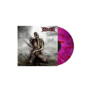 Ingested - Surreption Ii (Pink & Purple Vinyl) in the group VINYL / Hårdrock at Bengans Skivbutik AB (4012483)