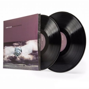 Modest Mouse - The Moon and Antarctica in the group VINYL / Pop at Bengans Skivbutik AB (4013778)
