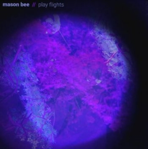 Bee Mason - Play Flights in the group VINYL / Rock at Bengans Skivbutik AB (4014102)