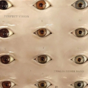 Thalia Zedek Band - Perfect Vision in the group OTHER /  /  at Bengans Skivbutik AB (4015612)