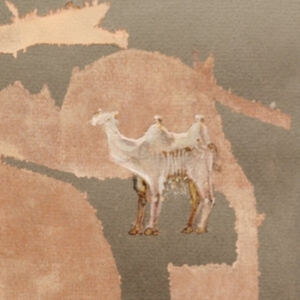 Corsano Maranha Youngs - Corsano Maranha Youngs in the group VINYL / Pop-Rock at Bengans Skivbutik AB (4018371)