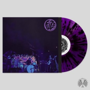 Fuzz - Levitation Sessions in the group OTHER /  /  at Bengans Skivbutik AB (4018470)