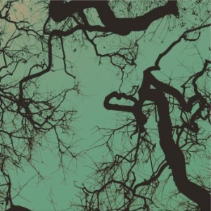 Föllakzoid - Föllakzoid in the group VINYL / Pop-Rock at Bengans Skivbutik AB (4022219)