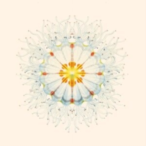 Charlie Charlie - Litte Things in the group OTHER / Övrigt /  at Bengans Skivbutik AB (4023022)