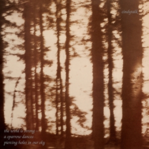 Cindytalk - The Wind Is Strong... (Marbled Smok in the group VINYL / Pop-Rock at Bengans Skivbutik AB (4024835)