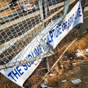 Media Jeweler - The Sublime Sculpture Of Being Aliv in the group VINYL / Pop-Rock at Bengans Skivbutik AB (4027355)