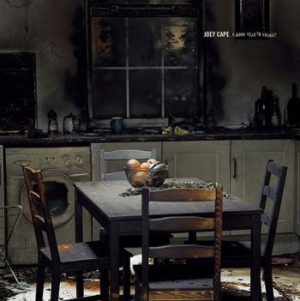 Cape Joey - A Good Year To Forget in the group OTHER /  /  at Bengans Skivbutik AB (4029752)