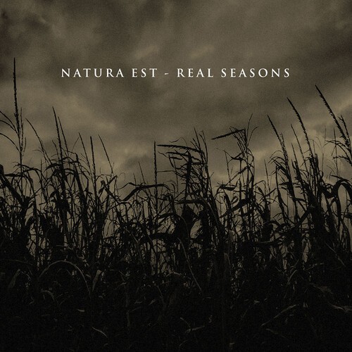 Natura Est - Real Seasons in the group CD / Rock at Bengans Skivbutik AB (4029799)