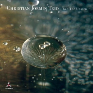 Christian Jormin Trio - See The Unseen in the group OTHER /  /  at Bengans Skivbutik AB (4030275)
