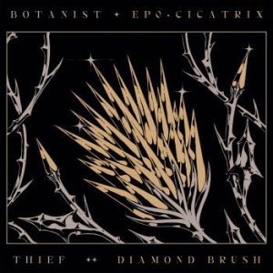 Botanist / Thief - Cicatrix / Diamond Brush in the group OTHER /  /  at Bengans Skivbutik AB (4031985)