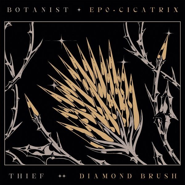 Botanist / Thief - Cicatrix / Diamond Brush in the group CD / Hårdrock/ Heavy metal at Bengans Skivbutik AB (4031985)
