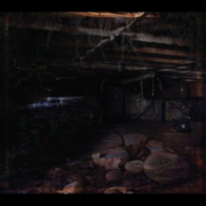 Medeski John - Crawlspace in the group CD / Pop-Rock at Bengans Skivbutik AB (4035448)