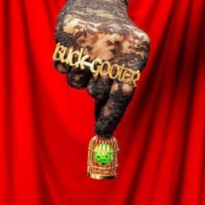 Buck Gooter - Head In A Bird Cage in the group VINYL / Pop-Rock at Bengans Skivbutik AB (4036692)