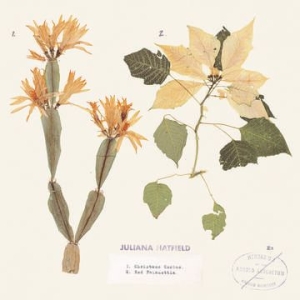 Hatfield Juliana - Christmas Cactus / Red Poinsettia (Color Vinyl/Dl Card) (Rsd) in the group OUR PICKS / Record Store Day / RSD-Sale / RSD50% at Bengans Skivbutik AB (4038299)