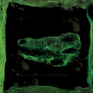 Avey Tare - Down There in the group VINYL / Pop-Rock at Bengans Skivbutik AB (4042632)