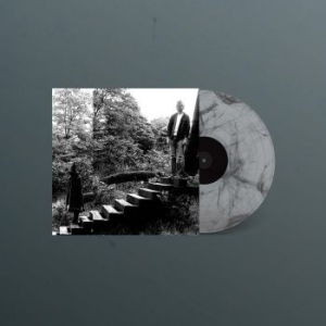 Timber Timbre - Timber Timbre in the group VINYL / Pop-Rock at Bengans Skivbutik AB (4044134)