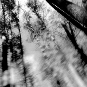 Loess - Totems (Clear With