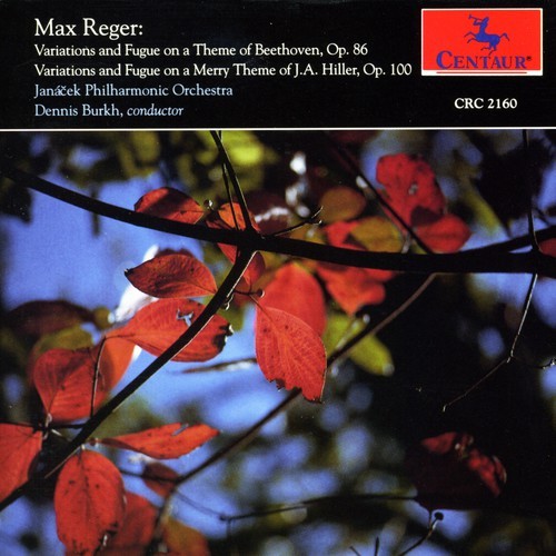Beethoven/Hiller - Variations in the group CD / Övrigt at Bengans Skivbutik AB (4046666)