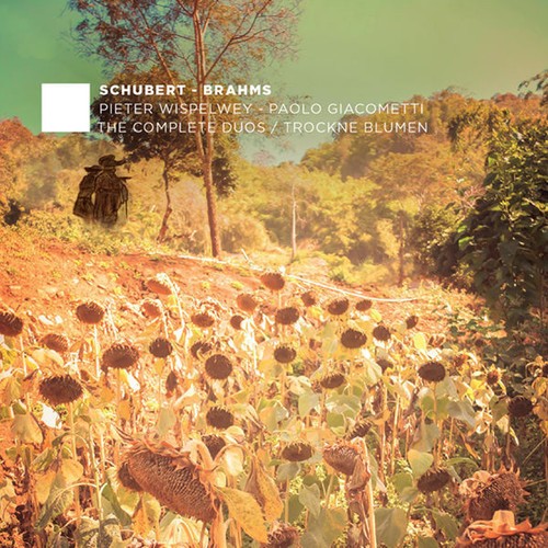 Schubert/Brahms - Complete Duos/Trockne Blu in the group CD / Övrigt at Bengans Skivbutik AB (4047280)
