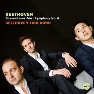 Beethoven Trio Bonn - Beethoven: Gassenhauer Trio & Symphony N in the group CD / Klassiskt,Övrigt at Bengans Skivbutik AB (4048901)