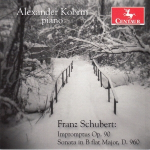 Kobrin Alexander - Franz Schubert in the group CD / Klassiskt,Övrigt at Bengans Skivbutik AB (4048916)