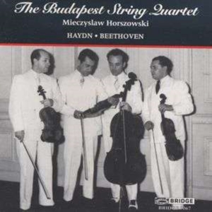 Haydn/Beethoven - Quartets in the group OTHER / Övrigt /  at Bengans Skivbutik AB (4049766)