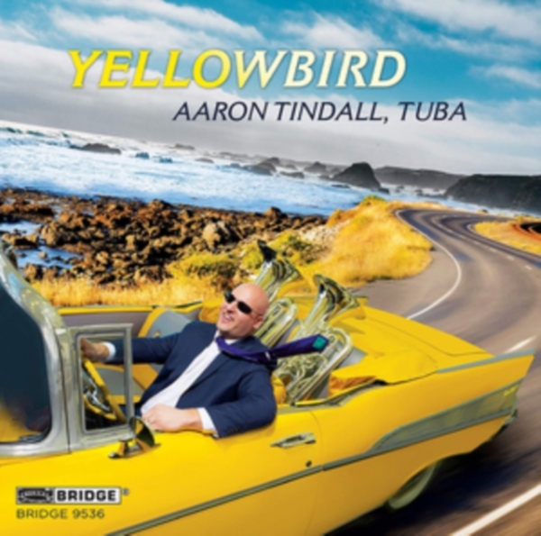 Tindall Aaron - Yellowbird in the group CD / Bestsellers at Bengans Skivbutik AB (4051336)