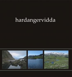 Ildjarn Nidhogg - Hardangervidda I (Green Vinyl Lp) in the group VINYL / Hårdrock/ Heavy metal at Bengans Skivbutik AB (4052108)