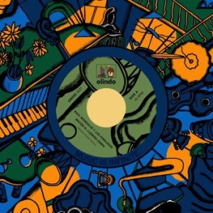 Monsalve Raul Y Los Forajidos - Bichos Remixes in the group VINYL / Jazz/Blues at Bengans Skivbutik AB (4053883)