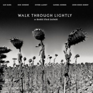 Dark Star Safari - Walk Through Lightly in the group VINYL / Pop-Rock at Bengans Skivbutik AB (4053895)