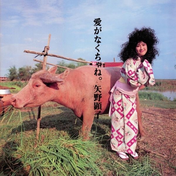 Akiko Yano - Ai Ga Nakucha Ne in the group CD / Pop at Bengans Skivbutik AB (4053991)