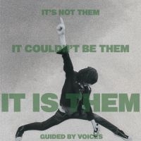 Guided By Voices - It's Not Them It Couldn't Be Them I in the group VINYL / Pop-Rock at Bengans Skivbutik AB (4054061)