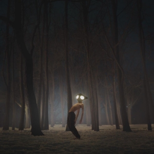 Geese - Projector in the group VINYL / Hårdrock,Pop-Rock at Bengans Skivbutik AB (4054162)