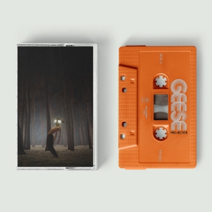 Geese - Projector in the group OTHER / Övrigt /  at Bengans Skivbutik AB (4054177)