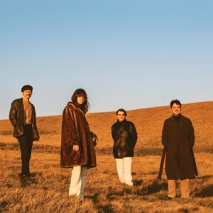 Fur - When You Walk Away in the group OTHER / Övrigt / at Bengans Skivbutik AB (4054181)