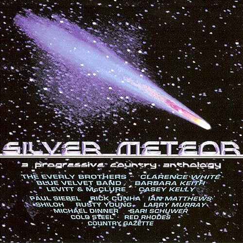 Various Artists - Silver Meteor : A Progressive Count in the group CD / Country at Bengans Skivbutik AB (4054254)