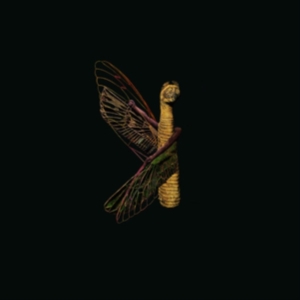 Louca Maurice - Saet El Haz (The Luck Hour) in the group CD / Elektroniskt,World Music at Bengans Skivbutik AB (4054308)