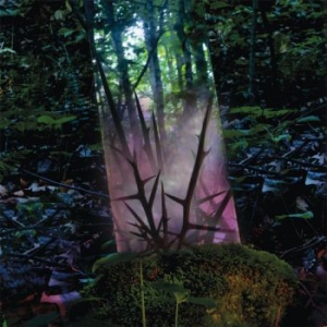 Jensen Sportag - Stealth Of Days in the group VINYL / Dance-Techno at Bengans Skivbutik AB (4054389)