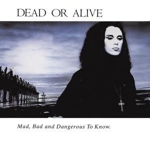 Dead Or Alive - Mad, Bad And Dangerous To Know in the group CD / Pop-Rock,Övrigt at Bengans Skivbutik AB (4054567)