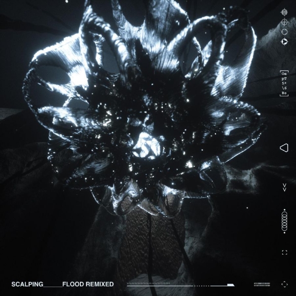 Scalping - Flood Remixed (Clear Vinyl) in the group VINYL / Bestsellers at Bengans Skivbutik AB (4056726)