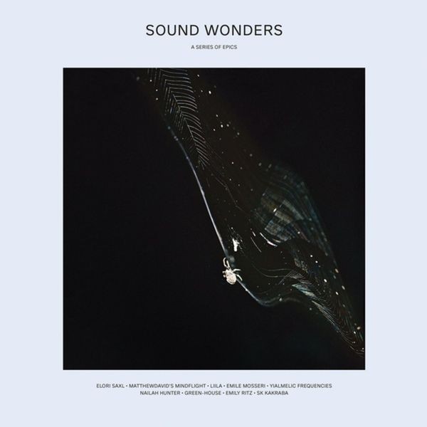 Various Artists - Sound Wonders in the group VINYL / Rock at Bengans Skivbutik AB (4056791)